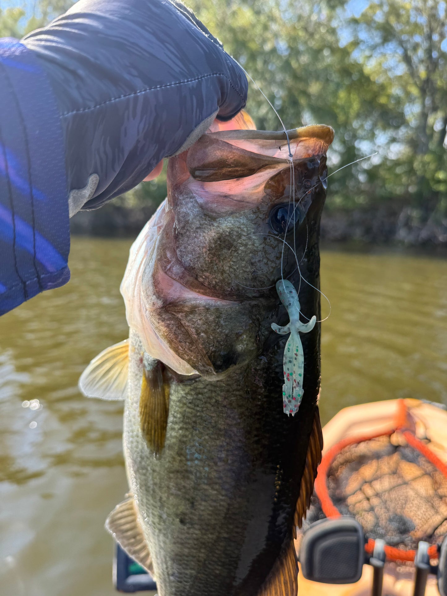WM Bayou The Fein - BFS Finesse Soft Plastic Lure for Bass Fishing