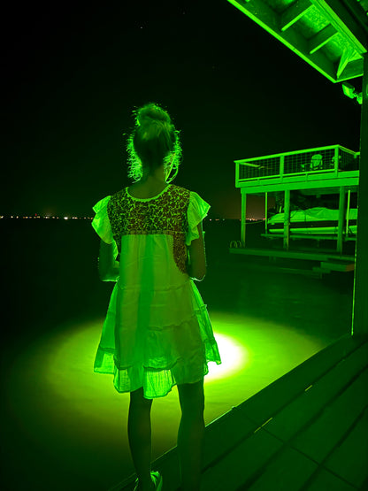 Under Water Green Fishing Lights Mega Brite Underwater Light System (250 Watts)