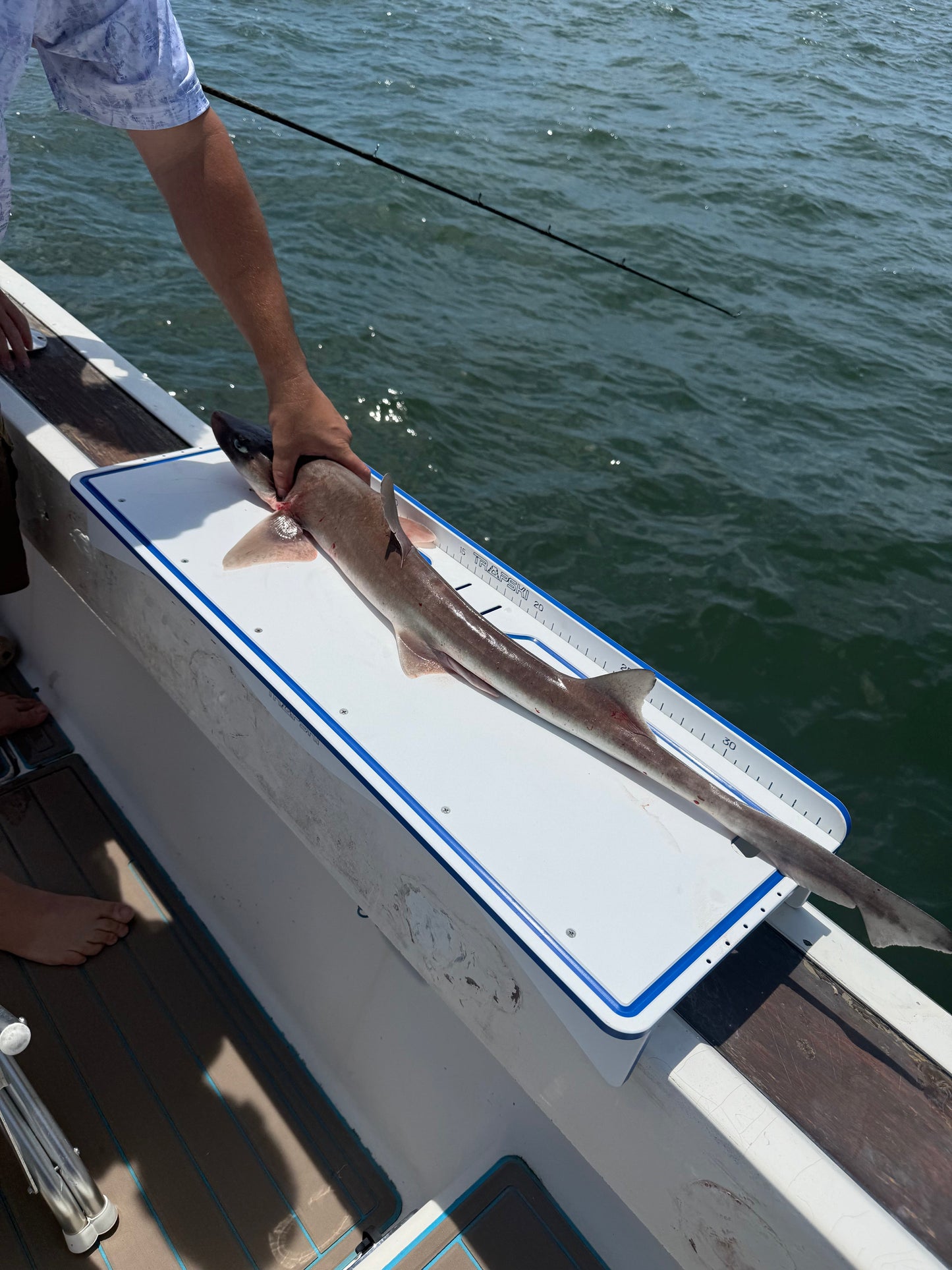 TRAPSKI Premium Double Bucket 33" Raised Fillet Table Cutting Board