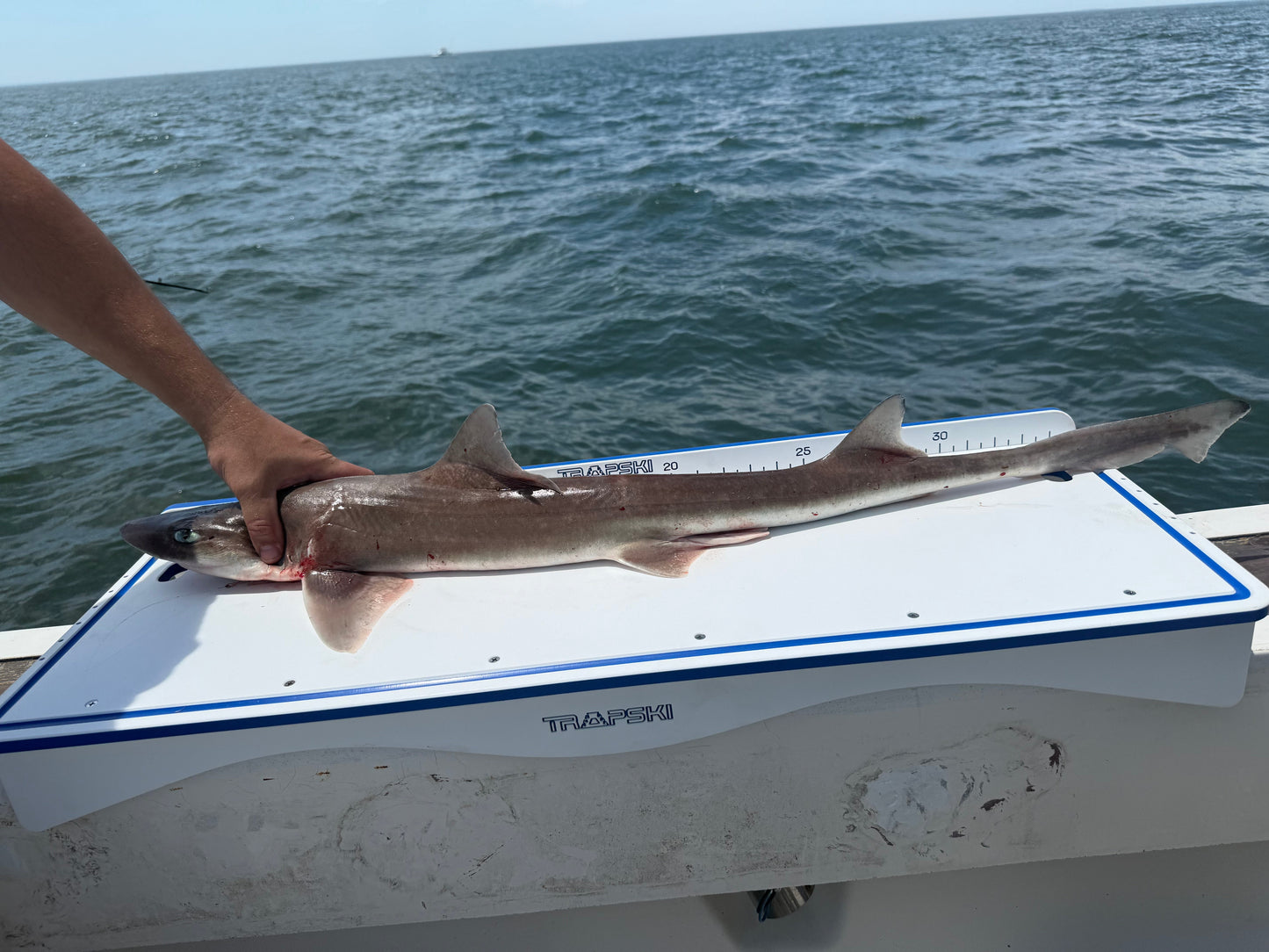 TRAPSKI Premium Double Bucket 33" Raised Fillet Table Cutting Board