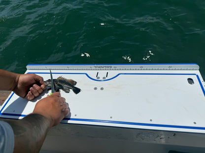 TRAPSKI Premium Double Bucket 33" Raised Fillet Table Cutting Board