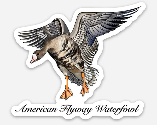 American Flyway Waterfowl Specklebelly Sticker