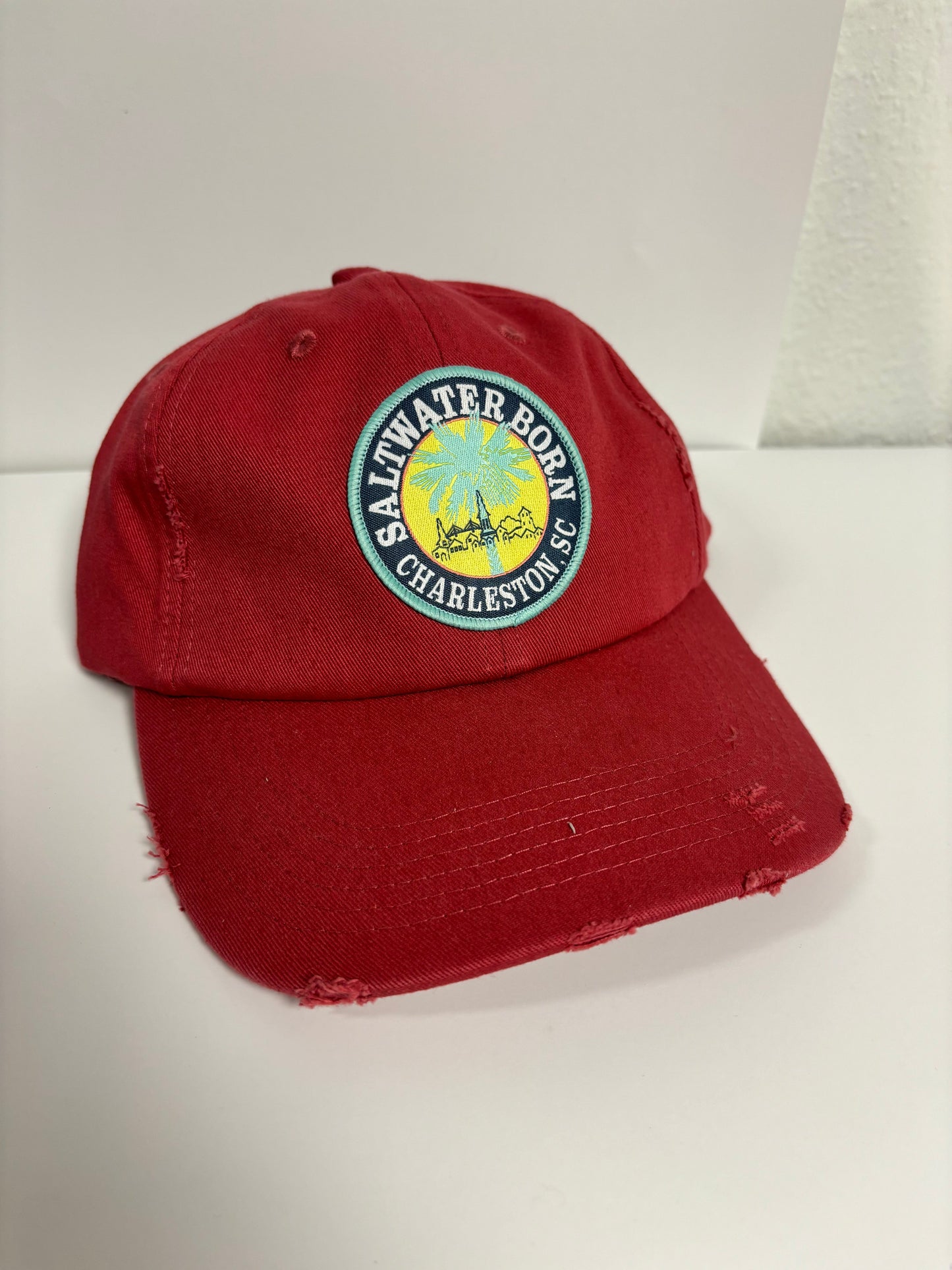 Saltwater Born Charleston, SC Vintage Distressed Hat