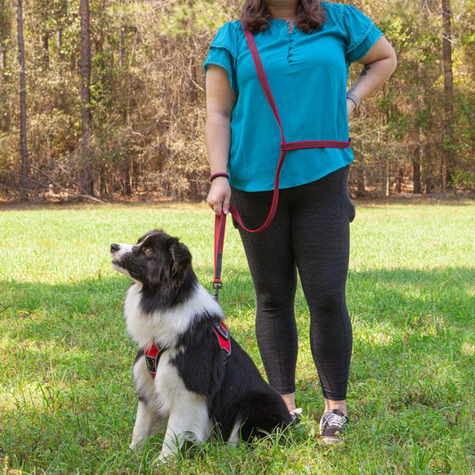 Dogline Rubber Infused Nylon Multifunctional Dog Leash for Walking and Running Hands Free