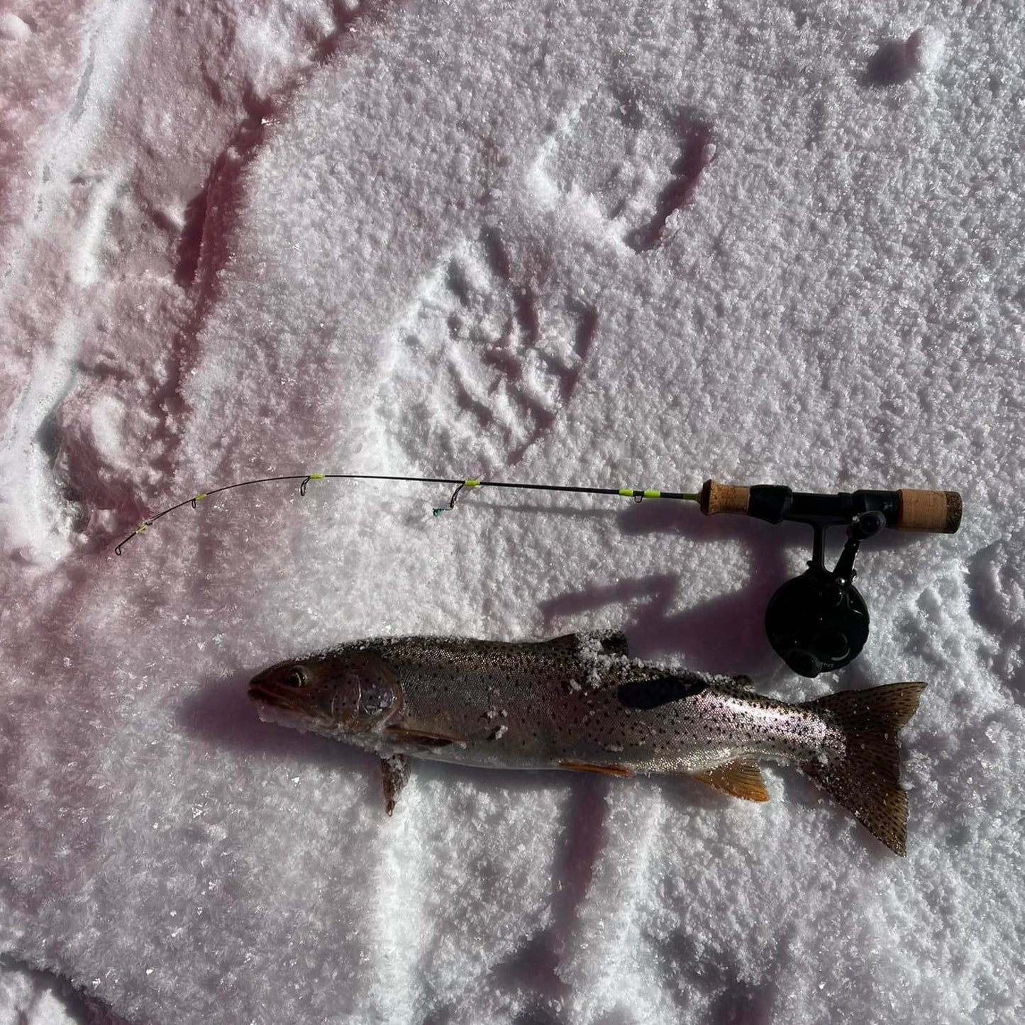 Wasatch Tenkara Rods Ice Breaker