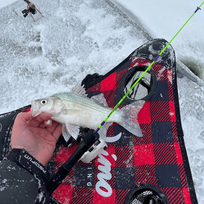 Wasatch The Joker "Co-Designed by Shifty Outdoors"