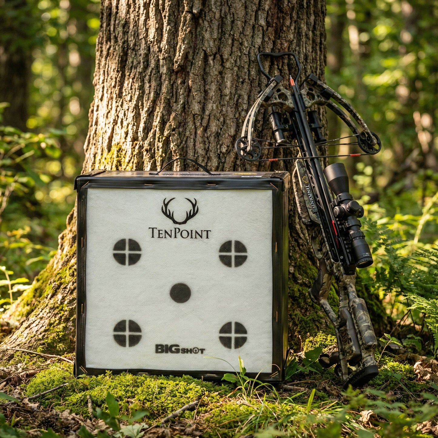 BIGshot Archery Ironman Kinetic 650 Ten Point Edition Crossbow Target