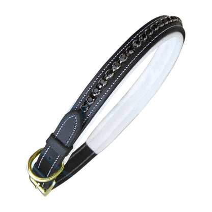 Bridles & Reins ExionPro Black Bling Dog Collar