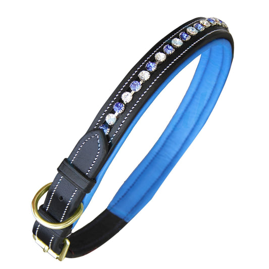 Bridles & Reins ExionPro White & Blue Bling Dog Collar