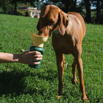 Springland Pets 20oz Flip Dog Travel Water Bottle