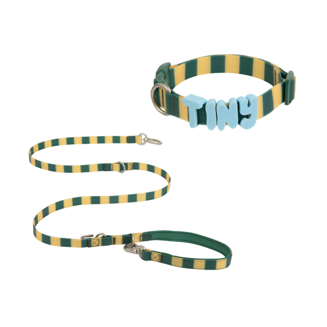 Springland Pets Waterproof Dog Collar