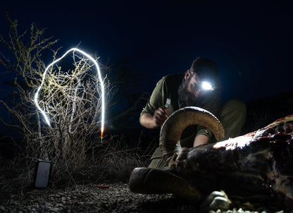 Last Light LED Light Rope