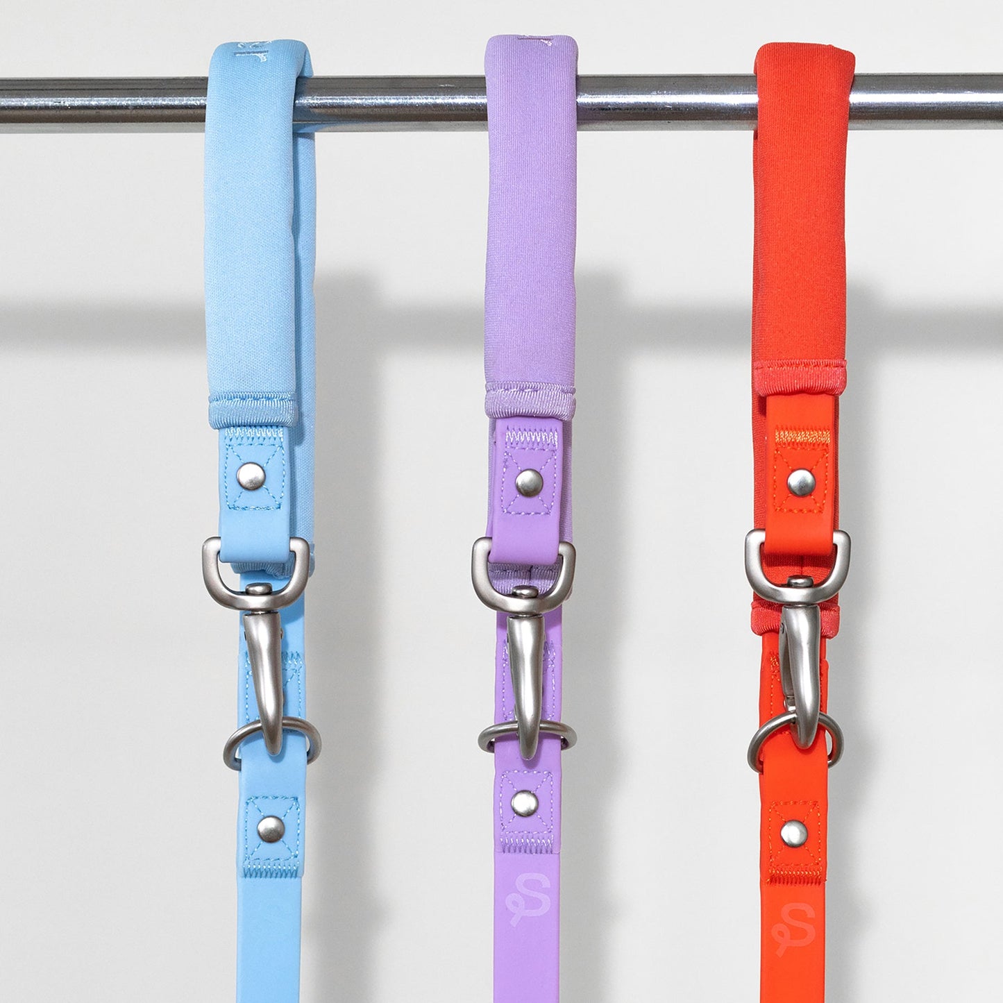 Springer Dog Leash