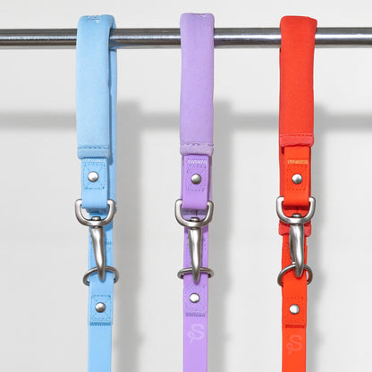 Springer Dog Leash
