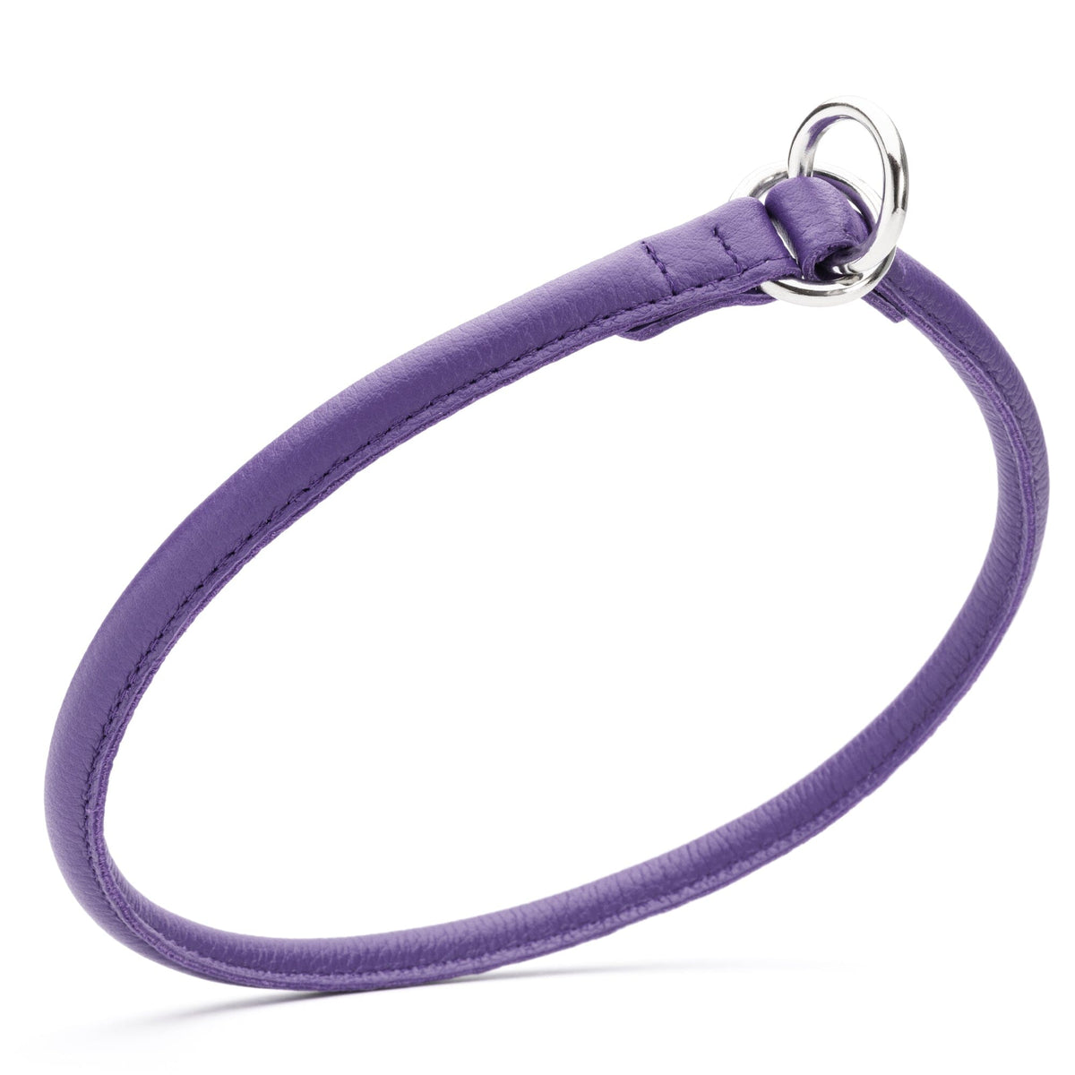 Dogline Soft Leather Round Slip Collar