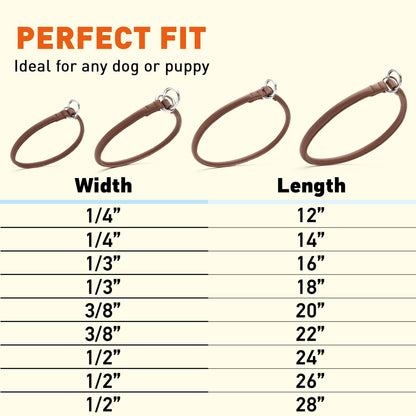 Dogline Soft Leather Round Slip Collar
