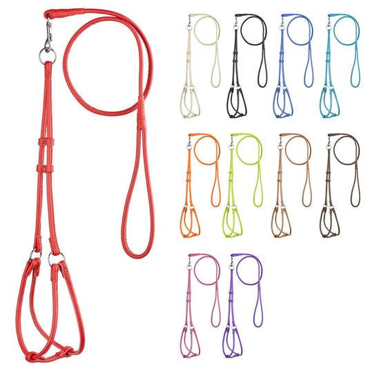 Dogline Soft Leather Round Step-In Harness + Round Lead