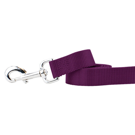 2 Hounds Design Burgundy Nylon Dog Leash