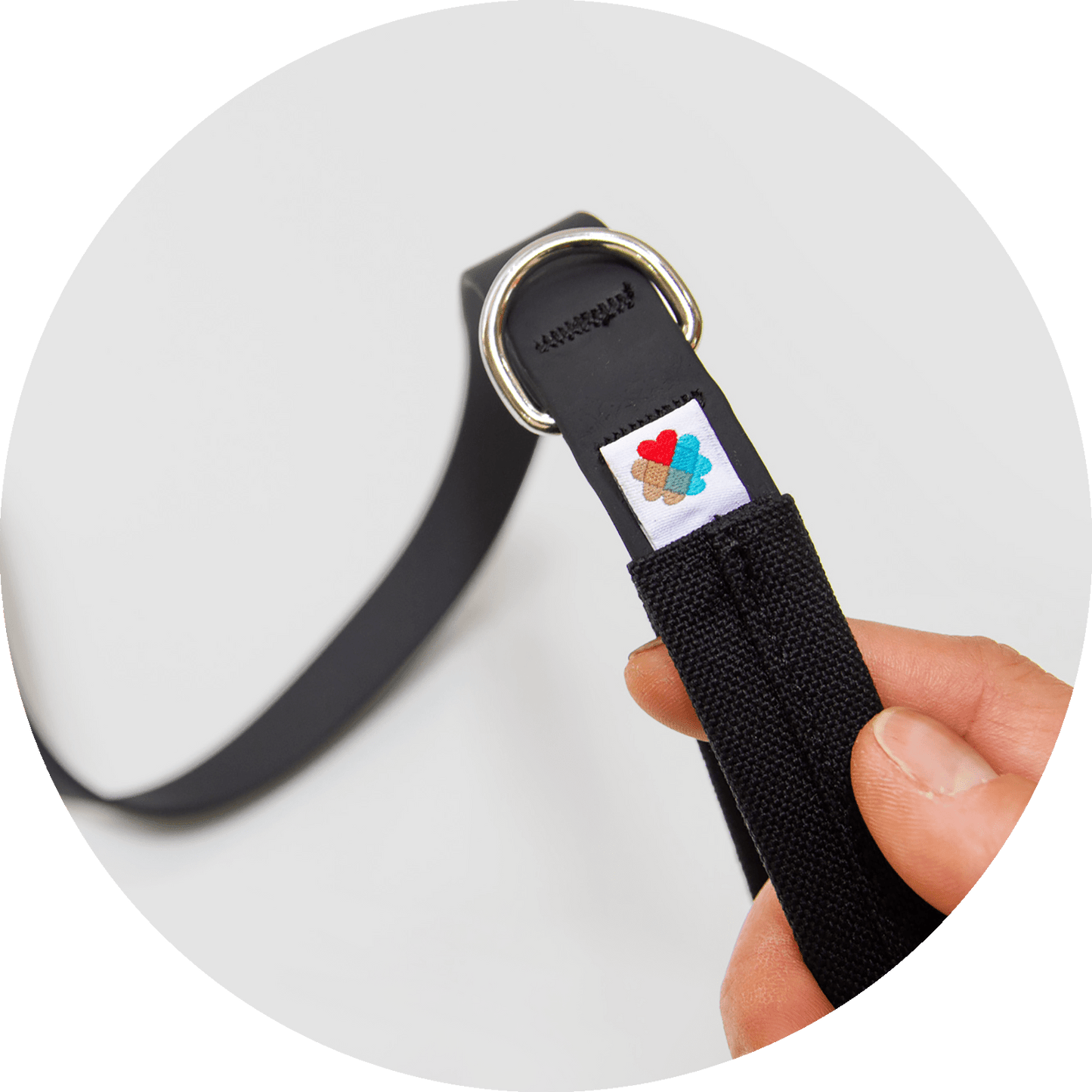 Wildebeest Funston Dog Leash