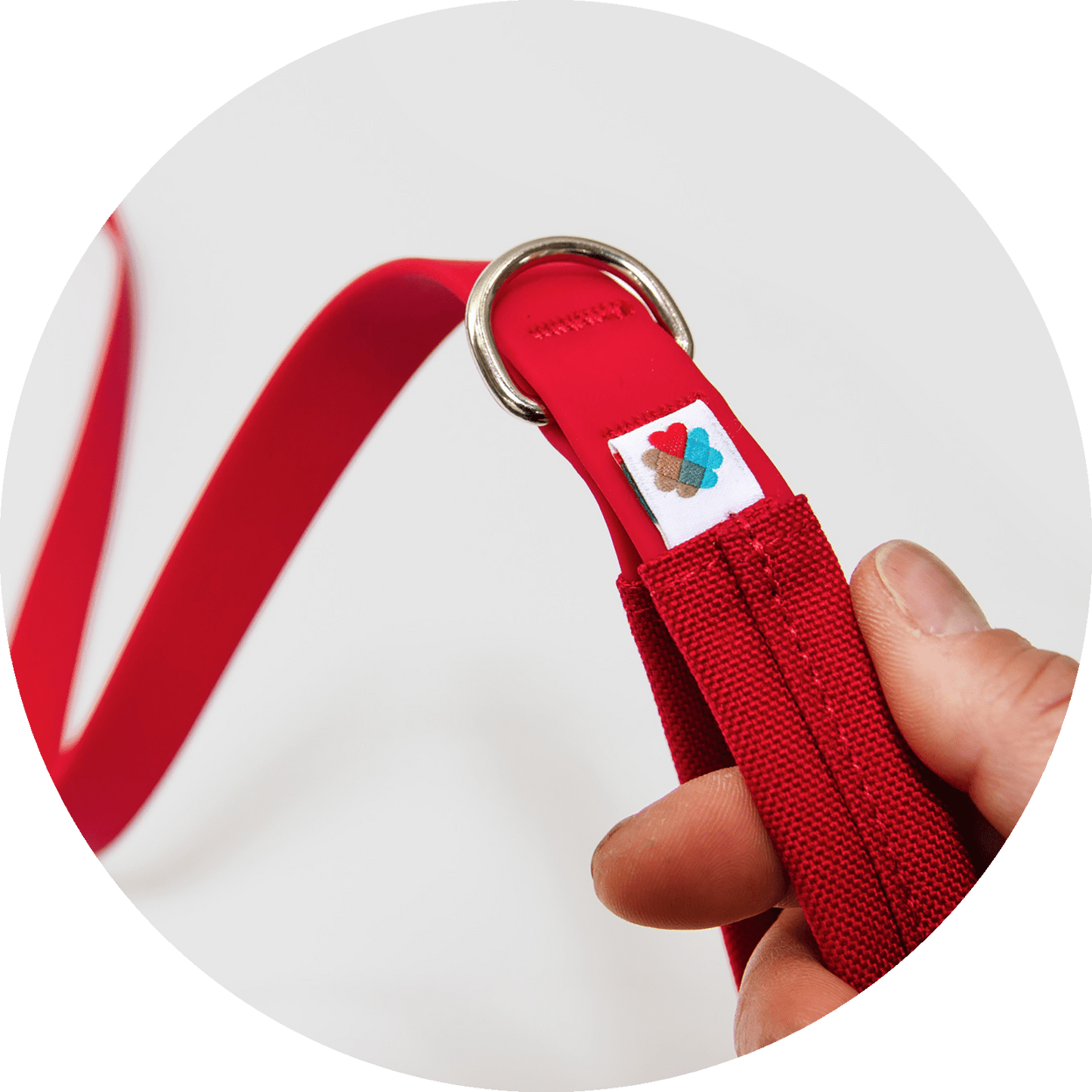 Wildebeest Funston Dog Leash