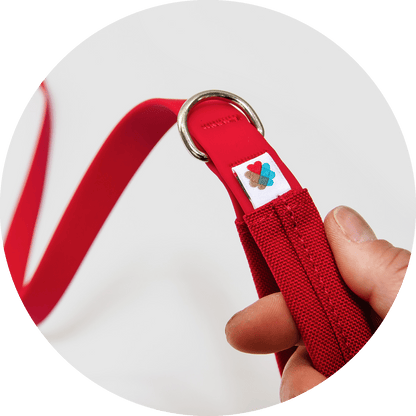 Wildebeest Funston Dog Leash