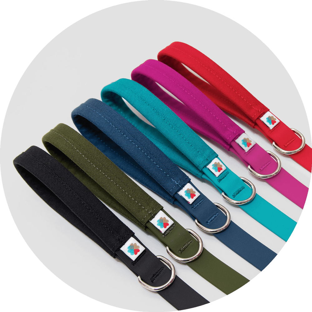 Wildebeest Funston Dog Leash