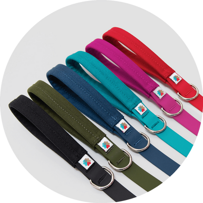 Wildebeest Funston Dog Leash