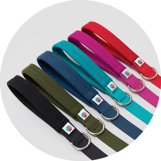 Wildebeest Funston Dog Leash