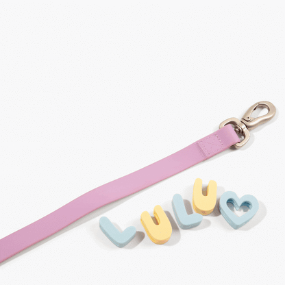 Springland Pets Hands-Free Dog Walking Bag with 4ft Leash