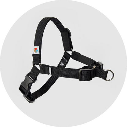 Wildebeest Linden No Pull Dog Harness