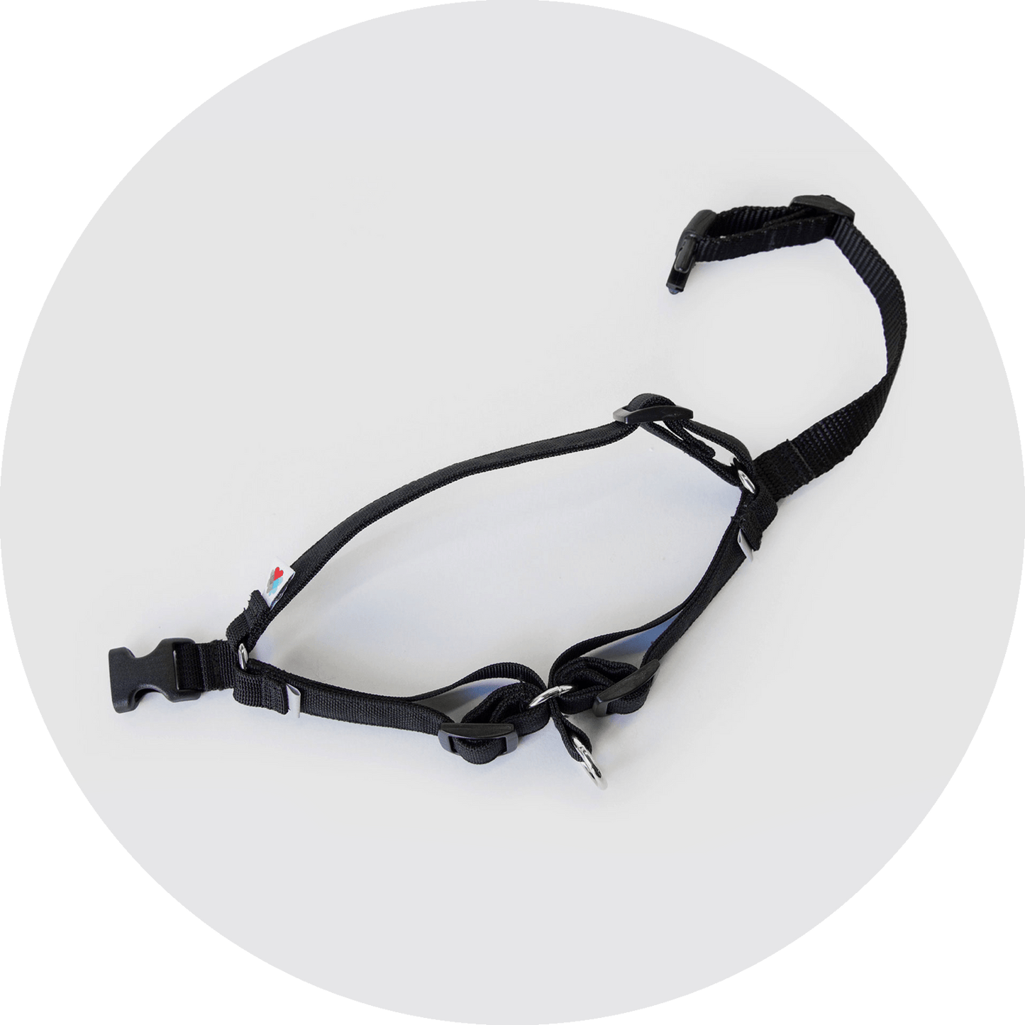 Wildebeest Linden No Pull Dog Harness