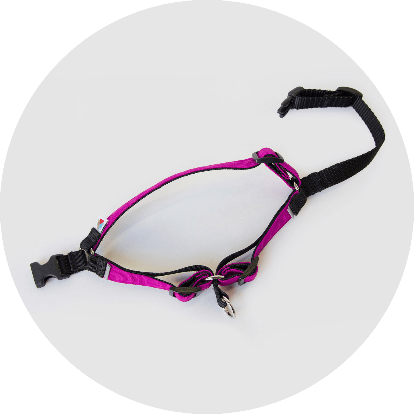 Wildebeest Linden No Pull Dog Harness