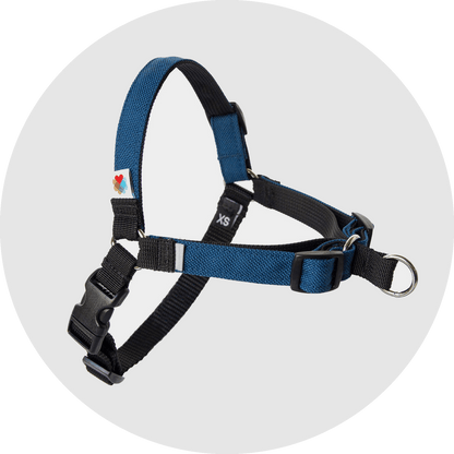 Wildebeest Linden No Pull Dog Harness