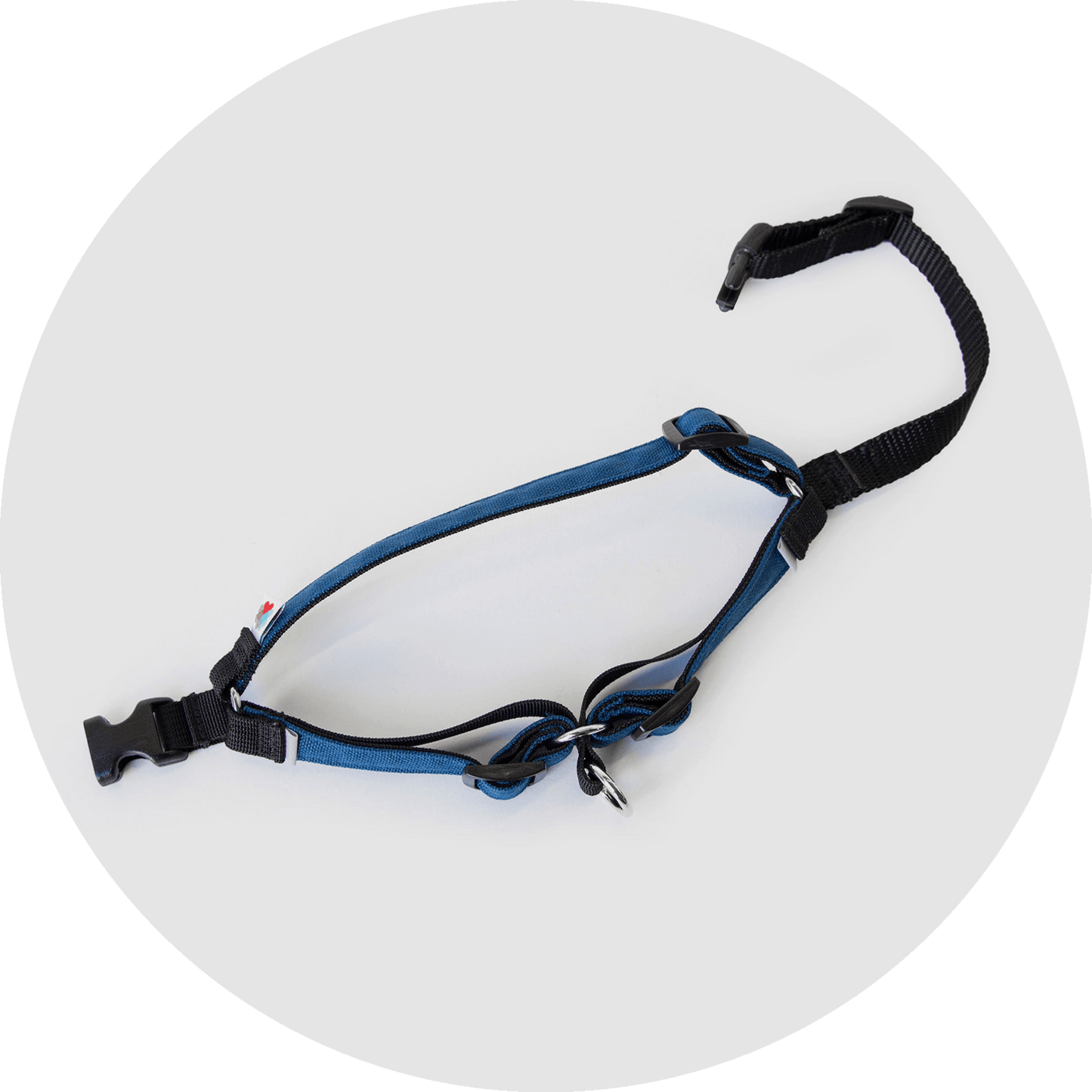 Wildebeest Linden No Pull Dog Harness