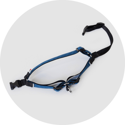 Wildebeest Linden No Pull Dog Harness