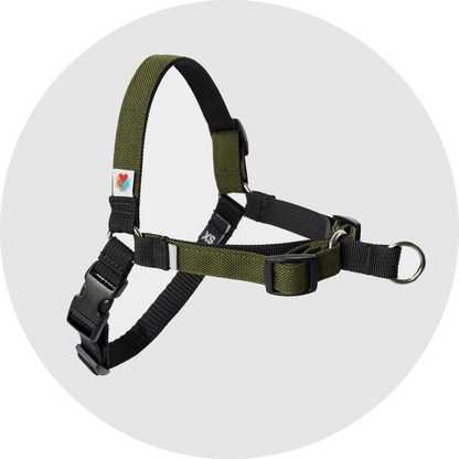 Wildebeest Linden No Pull Dog Harness