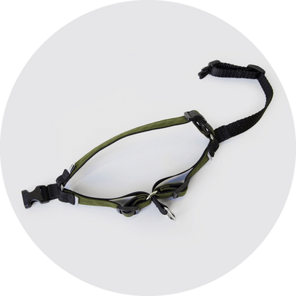 Wildebeest Linden No Pull Dog Harness