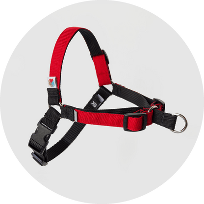 Wildebeest Linden No Pull Dog Harness