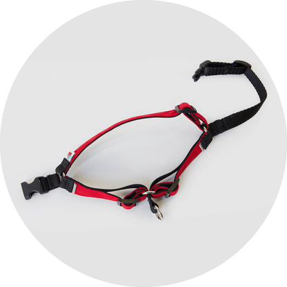 Wildebeest Linden No Pull Dog Harness