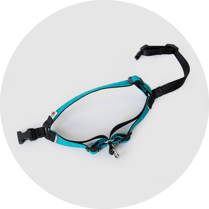 Wildebeest Linden No Pull Dog Harness