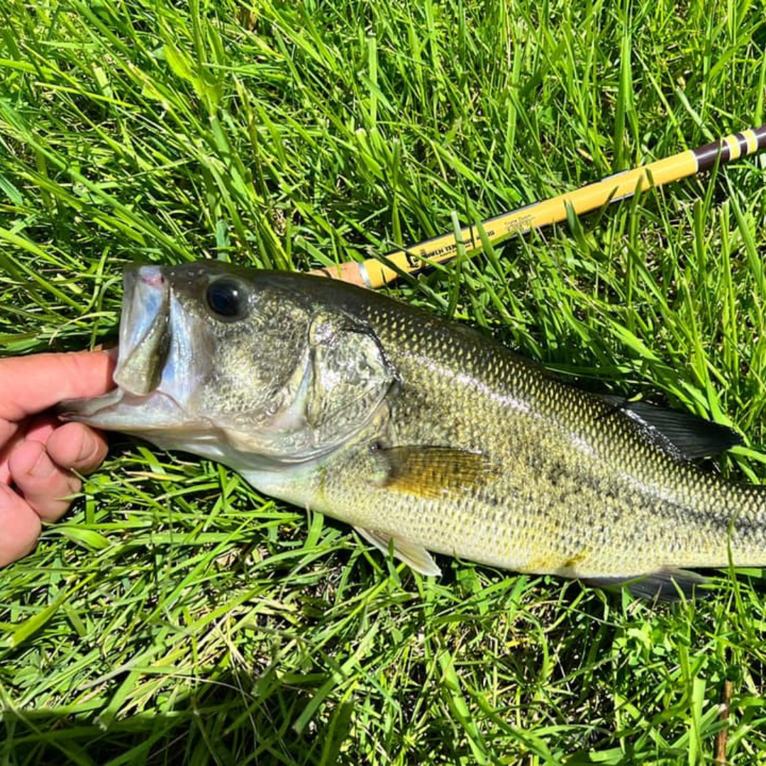 Wasatch Hankyu Middle Fork Tenkara Rod