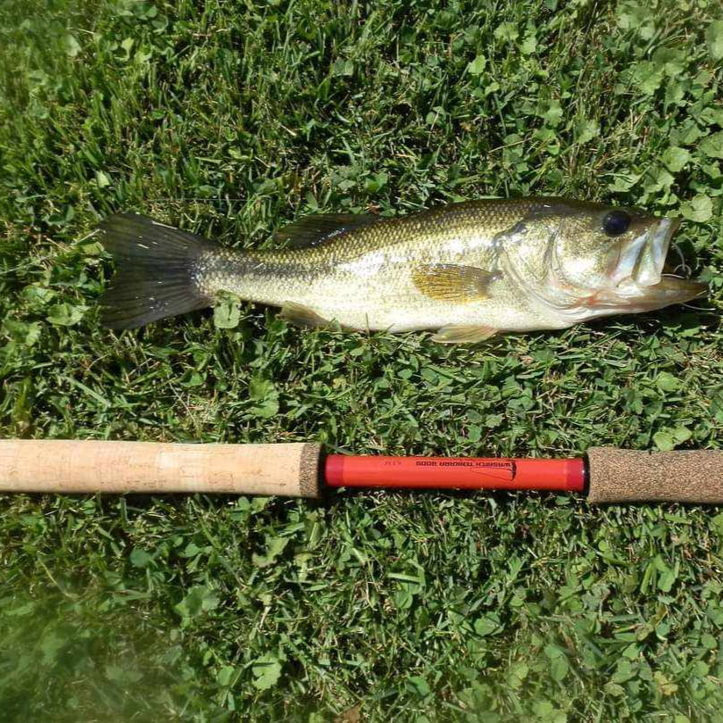 Wasatch Phoenix Rising Tenkara Rod