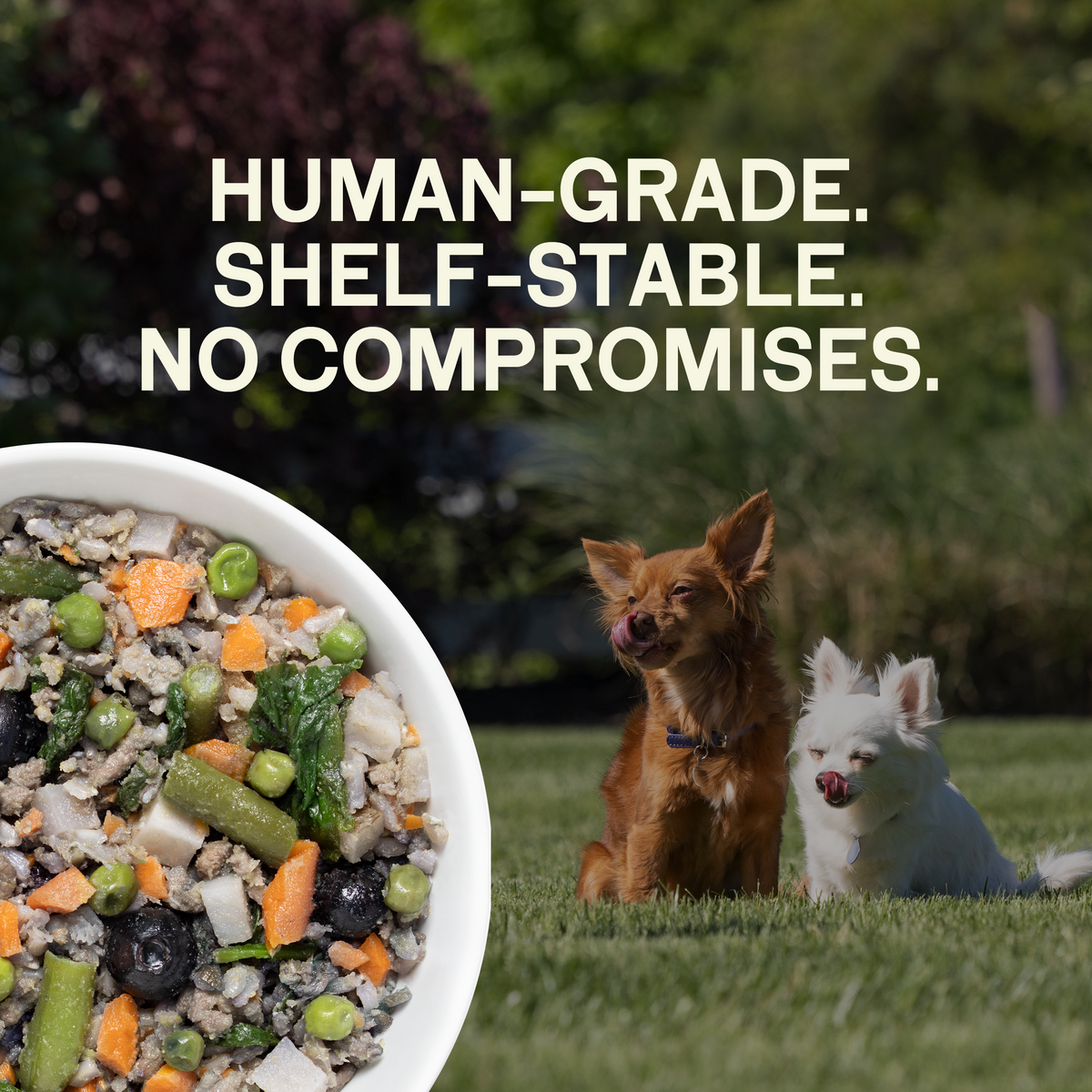Happy Howl 100% Human-Grade Dog Food
