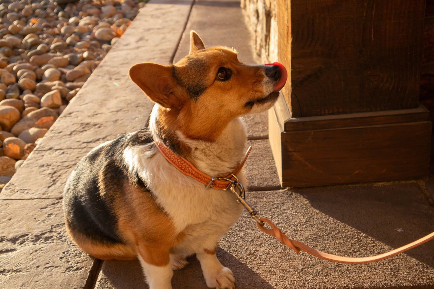Texas Saddlery Natural Basket Dog Leash