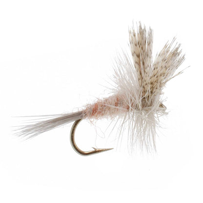The Fly Fishing Place Light Hendrickson Classic Dry Fly - 6 Flies Size 14