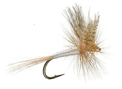 The Fly Fishing Place Barbless Light Cahill Classic Trout Dry Fly Fishing Flies - Set of 6 Flies Size 12