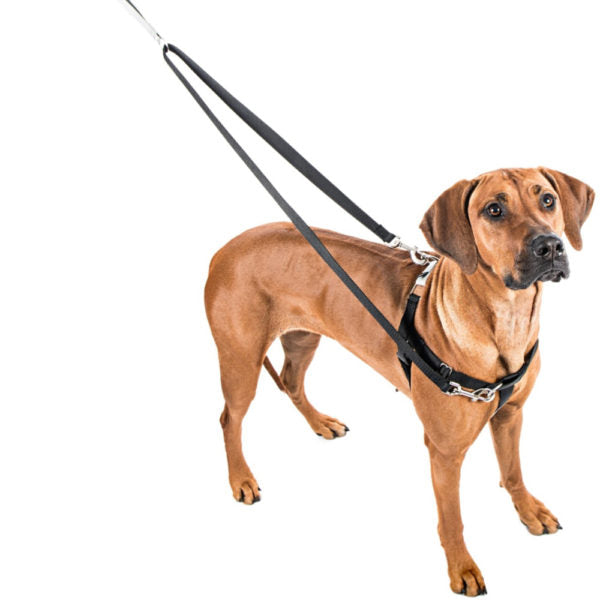 2 Hounds Design Brown Freedom No-Pull Dog Harness
