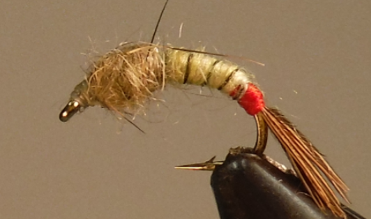 Stone Creek Long Tall Sally