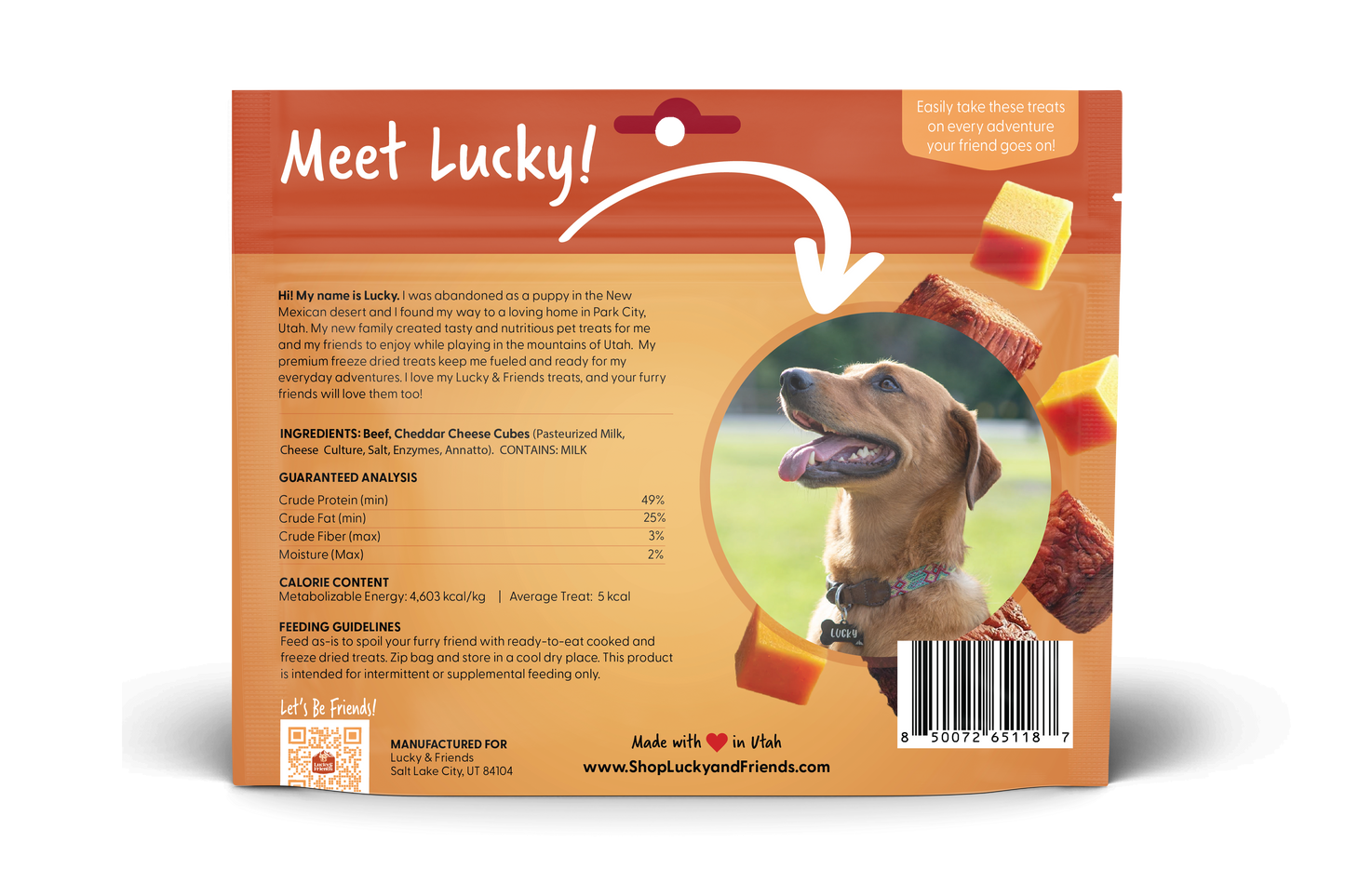 Foundation Outdoors Steak & Cheddar Cheese Bites Dog Treats