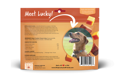 Foundation Outdoors Steak & Cheddar Cheese Bites Dog Treats